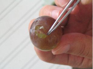 Click to view full 3.jpg (307 X 230)