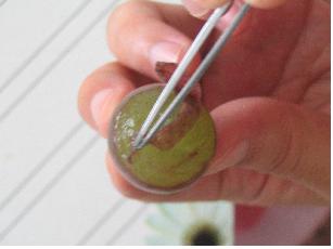 Click to view full 8.jpg (307 X 230)