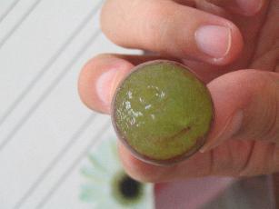 Click to view full 9.jpg (307 X 230)