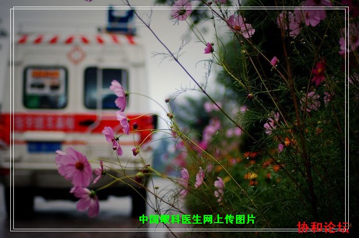 dvubb 按此在新窗口浏览图片