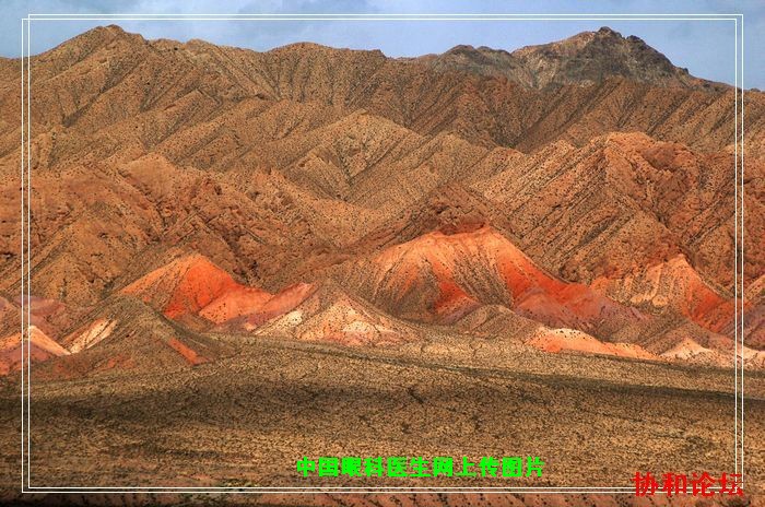 dvubb 按此在新窗口浏览图片