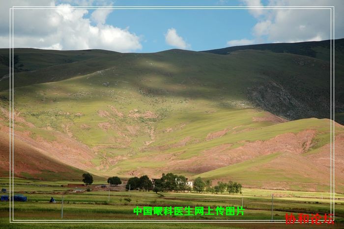 dvubb 按此在新窗口浏览图片