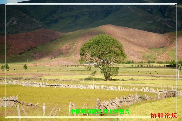 dvubb 按此在新窗口浏览图片