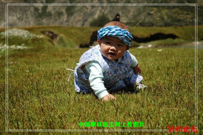 dvubb 按此在新窗口浏览图片