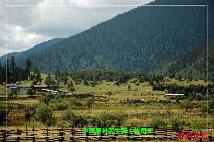 dvubb 按此在新窗口浏览图片