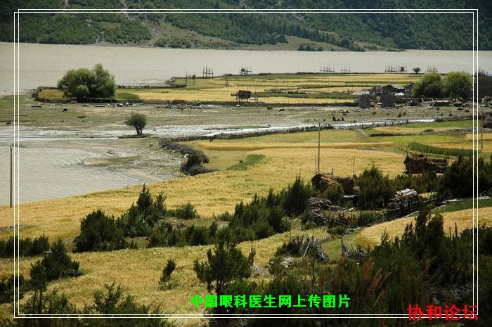 dvubb 按此在新窗口浏览图片