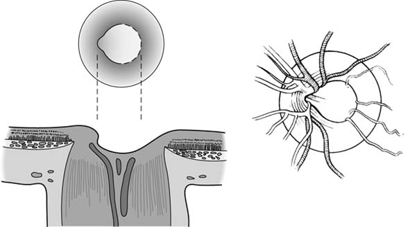 Figure 2-14